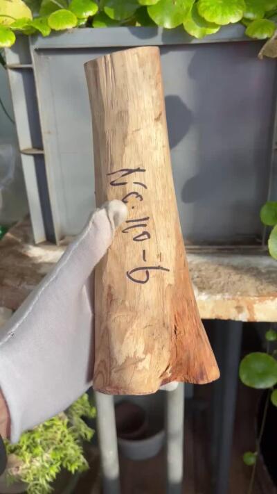 零元拍：  NO.110-6 海南黄花梨原料。尺寸约210/45//95/45MM