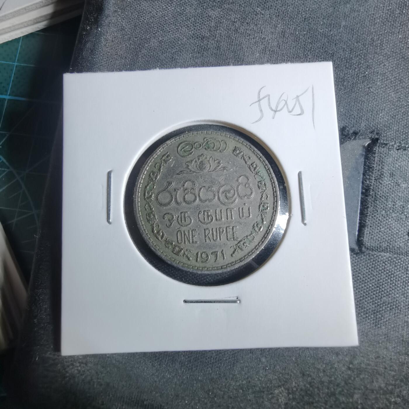 沼泽如烟--第954场