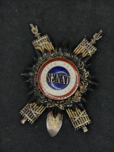 凯旋世界勋赏（第21期冬季大拍）（欢迎送拍）（对拍品有疑问请询问客服，不接受到手刀，出价默认拍品品相。请认真阅读拍卖规则！出价默认已认可！）（收到货请录制开箱视频，无视频概不处理问题。） - 法国议会证章