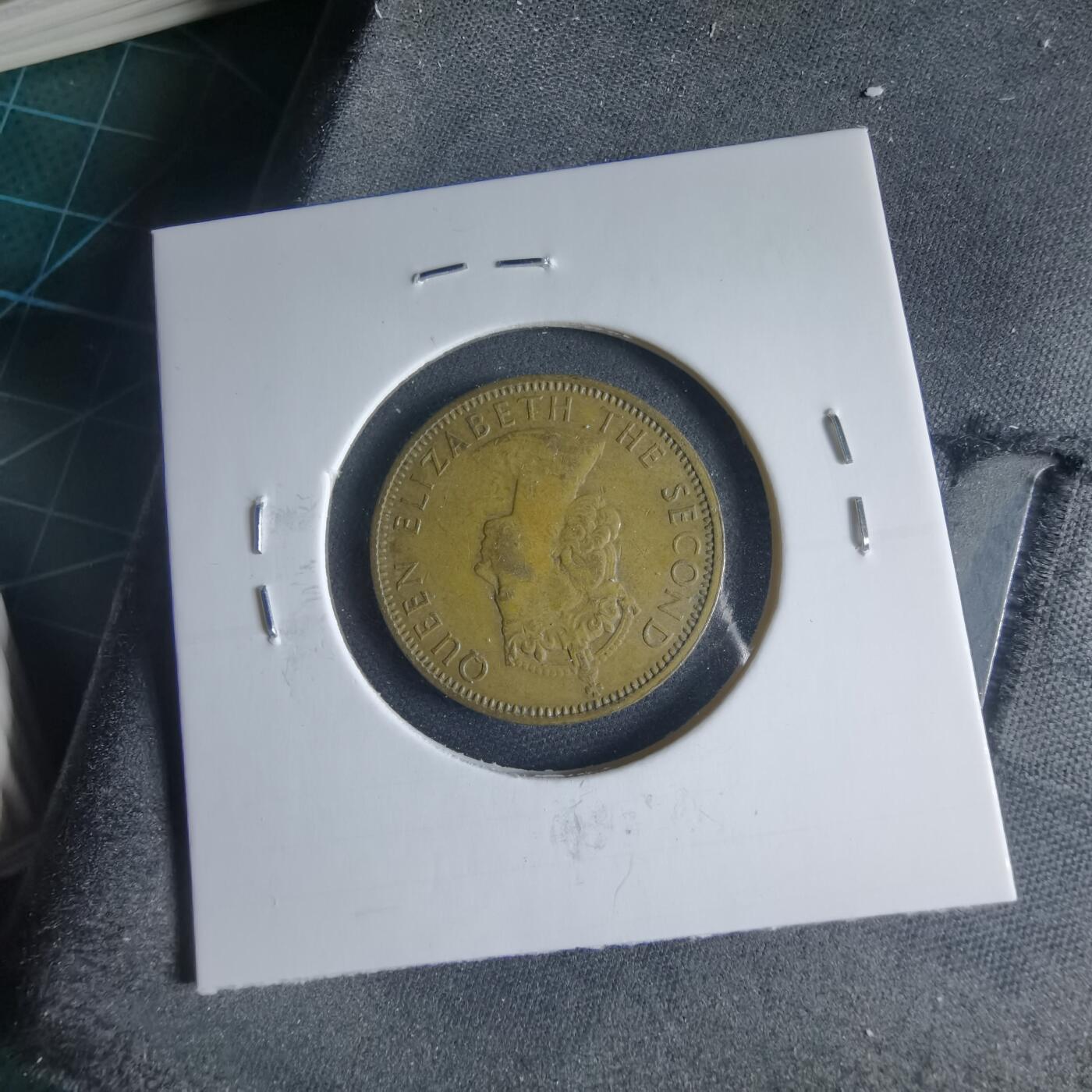 沼泽如烟--第954场