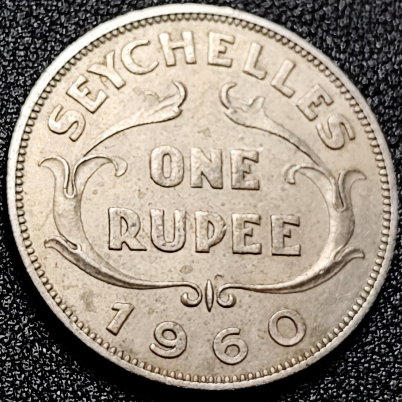 泉币菌-第167场- 精品福利场 。