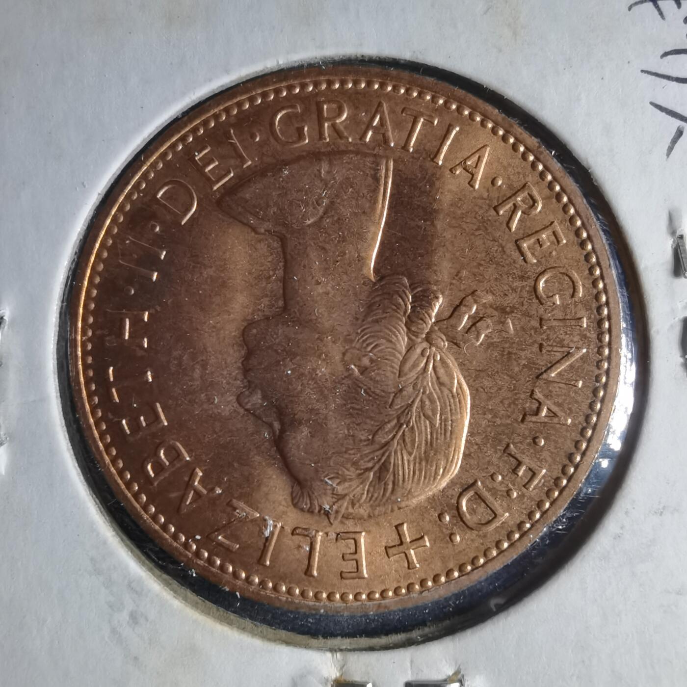 沼泽如烟--第954场