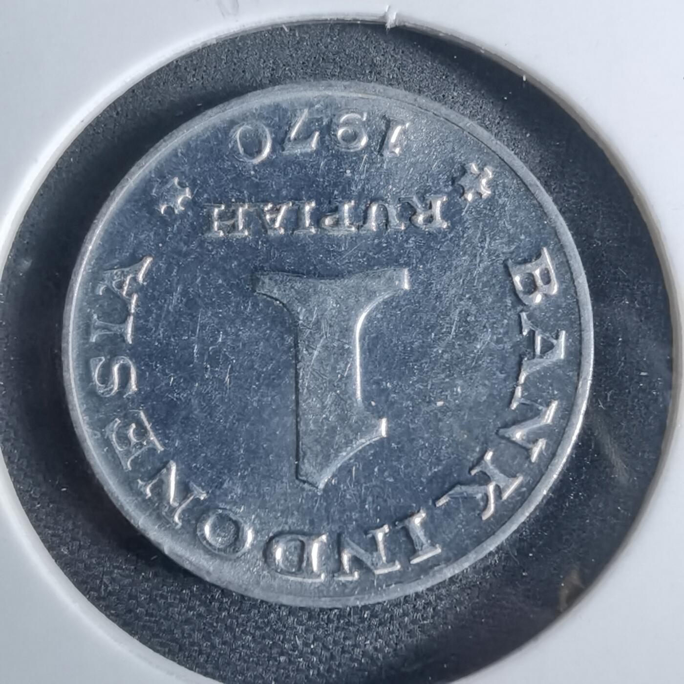 沼泽如烟--第954场