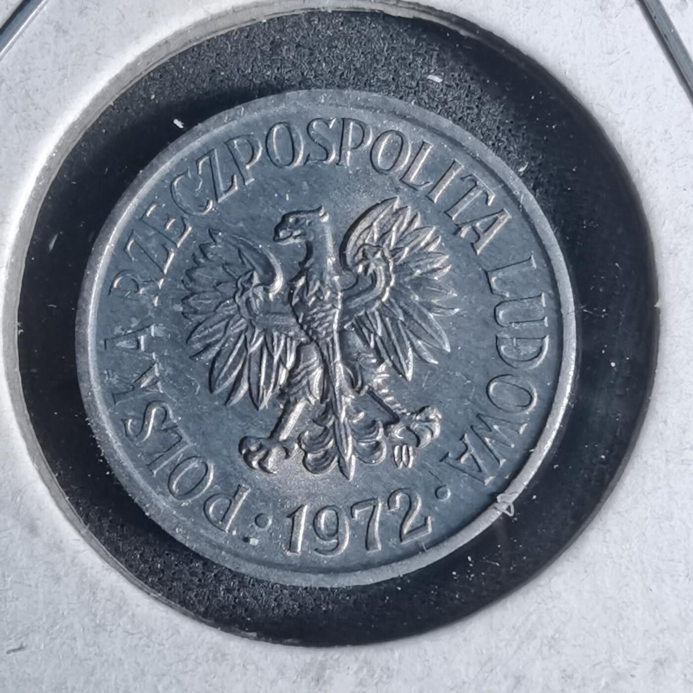 沼泽如烟--第954场