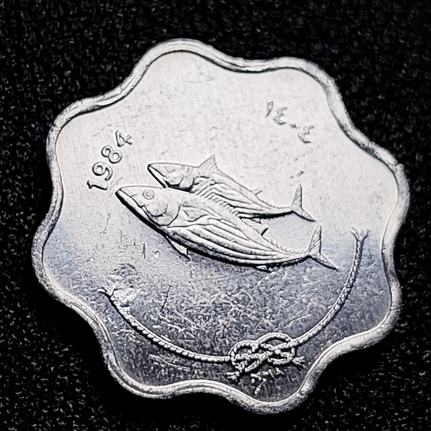 泉币菌-第167场- 精品福利场 。