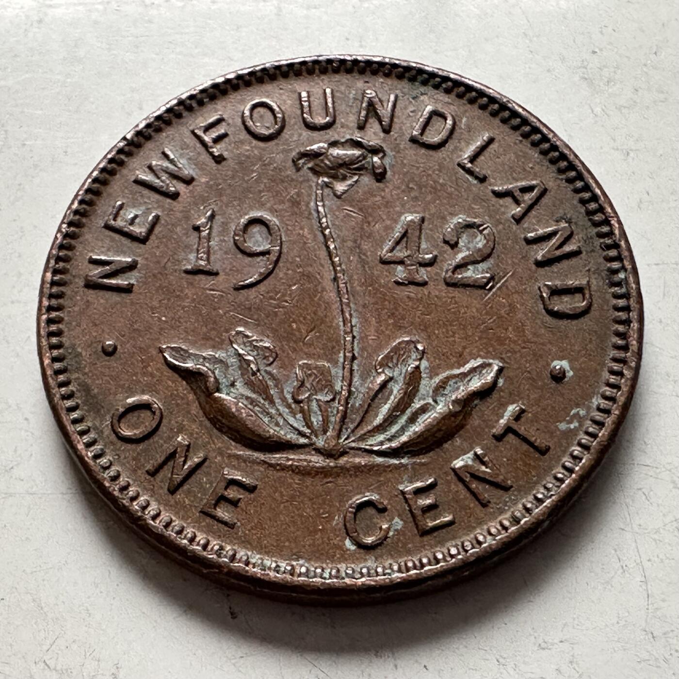 🌹外币初藏🌹🐯2026年第4场  每周二四六晚8️⃣点 接代拍 纽芬兰1942年一分