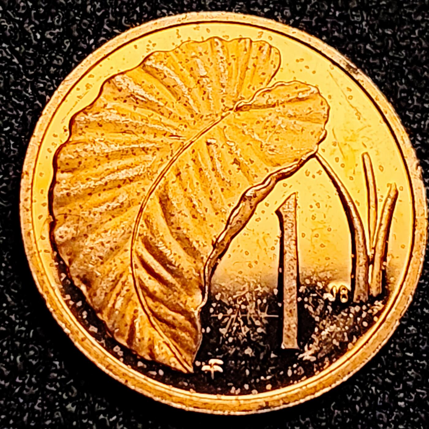 泉币菌-第167场- 精品福利场 。