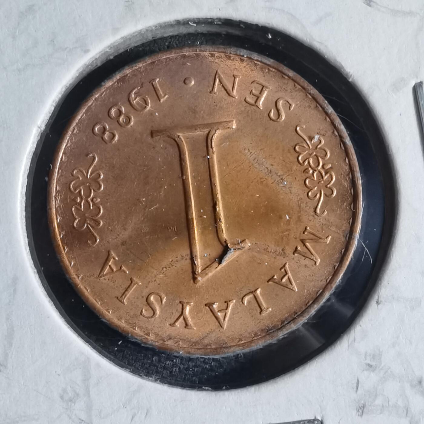 沼泽如烟--第954场