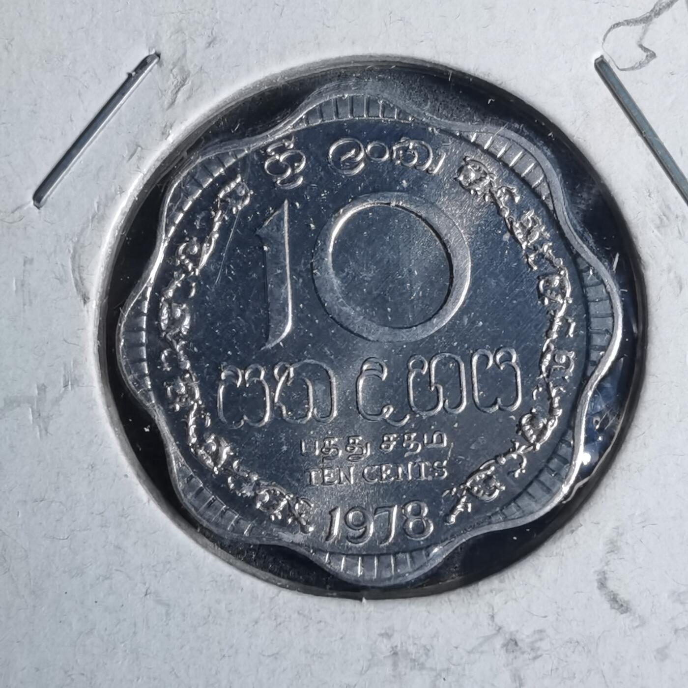 沼泽如烟--第954场