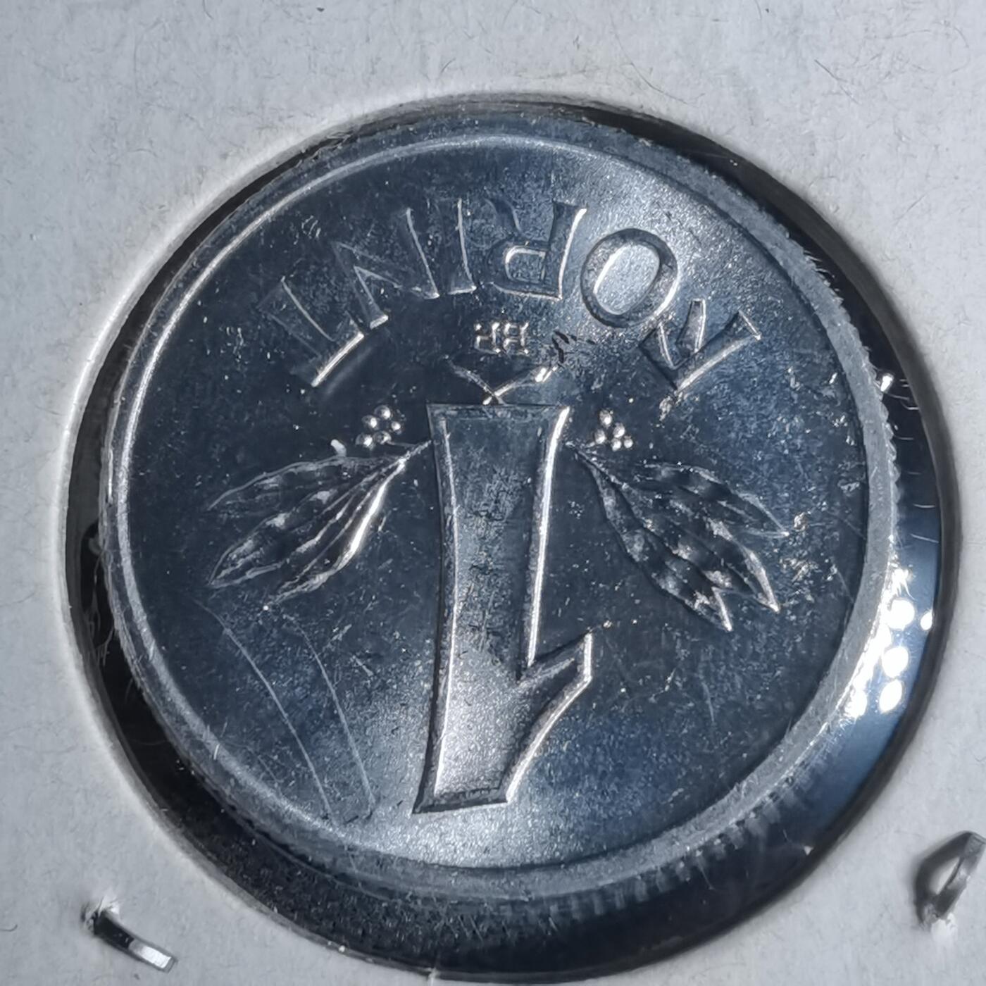 沼泽如烟--第954场