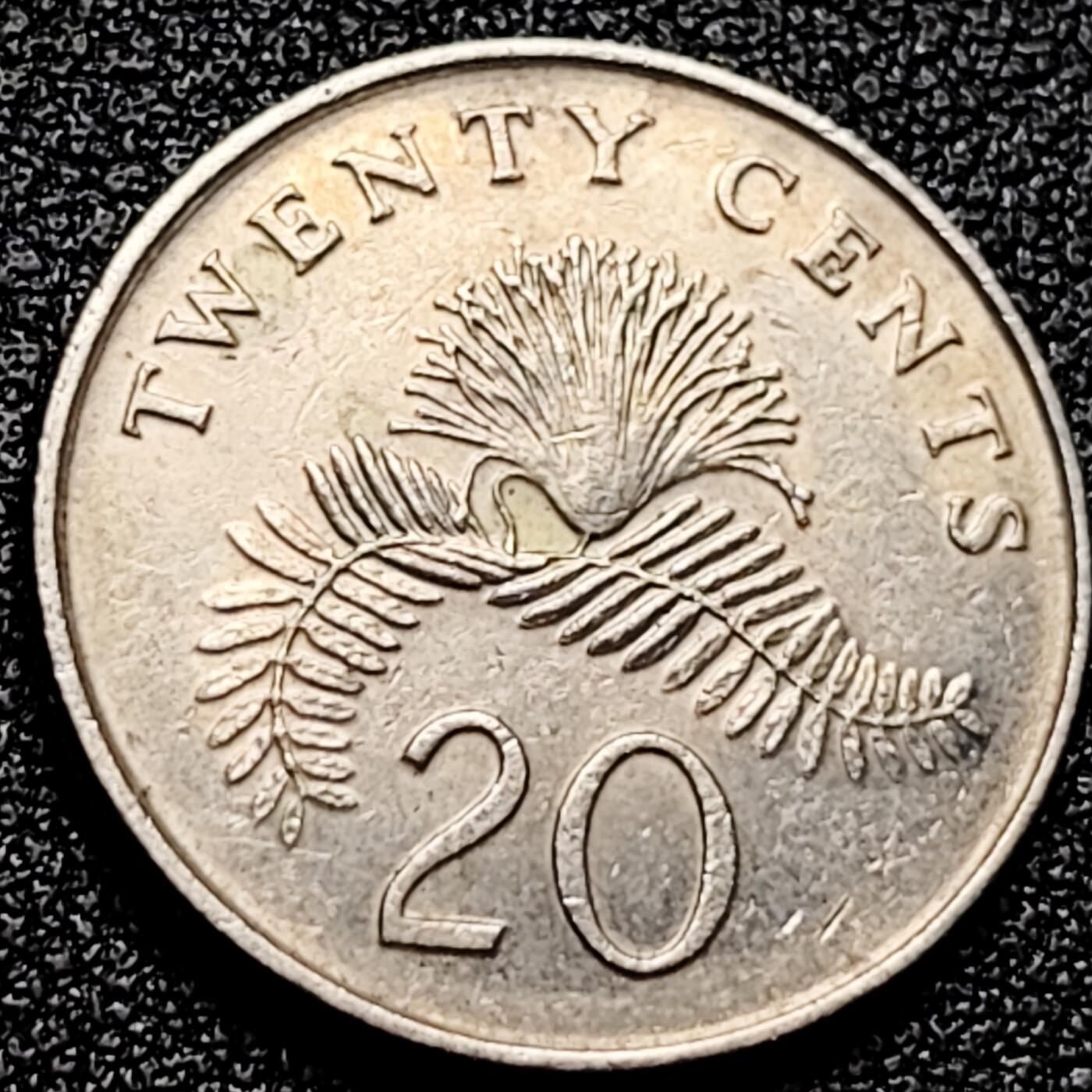 泉币菌-第166场- 新年第九场 精品福利场 。