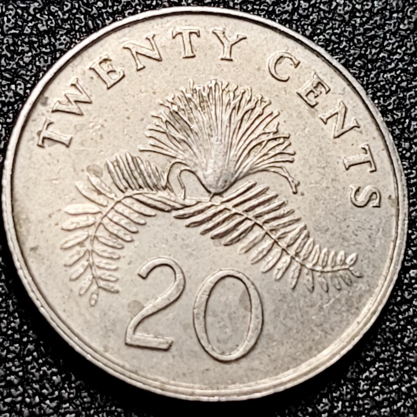 泉币菌-第166场- 新年第九场 精品福利场 。