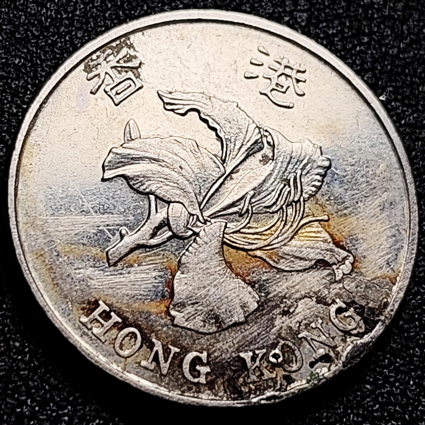 泉币菌-第166场- 新年第九场 精品福利场 。