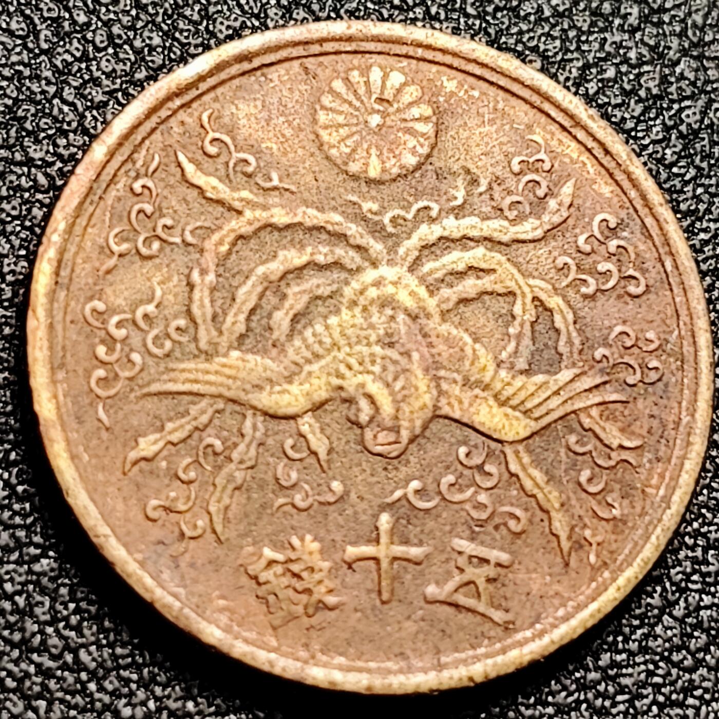 泉币菌-第166场- 精品福利场