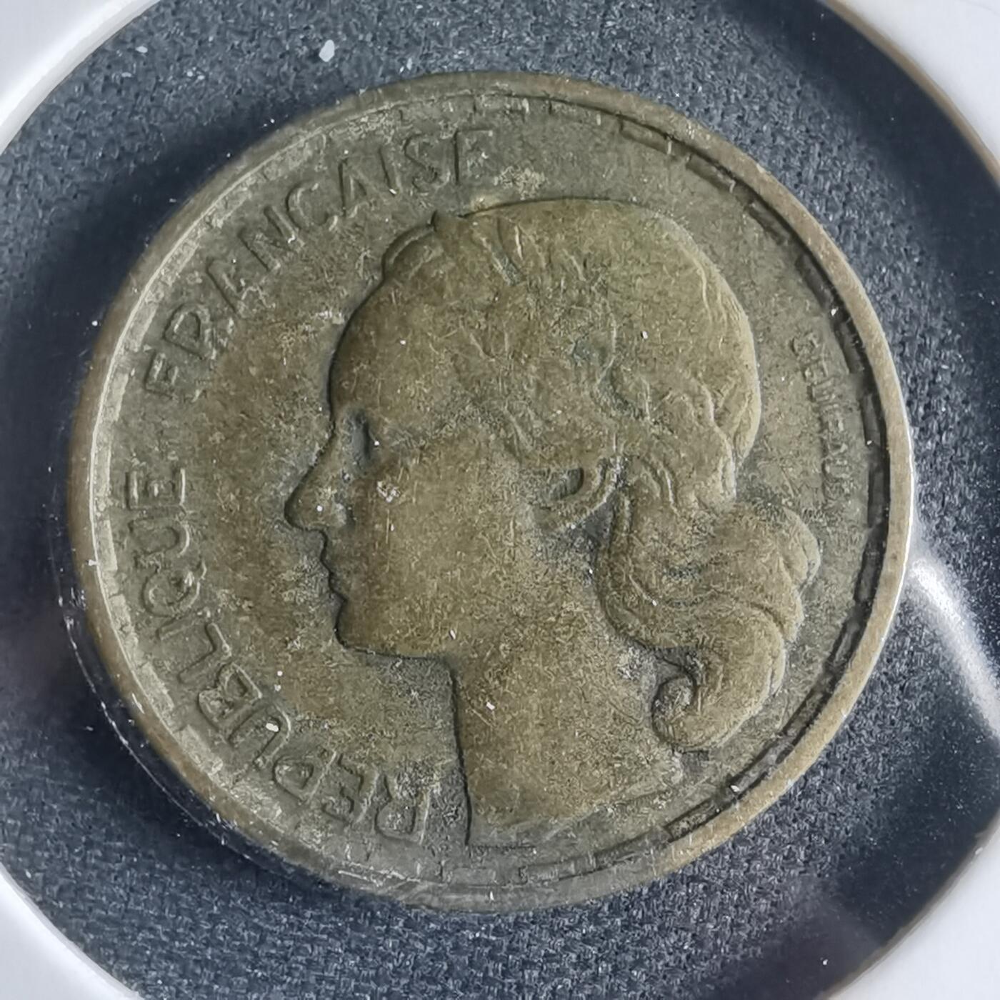 沼泽如烟--第954场