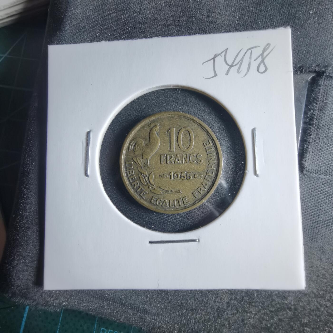 沼泽如烟--第954场