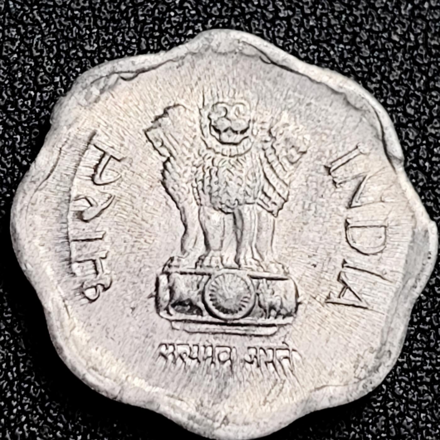 泉币菌-第166场- 新年第九场 精品福利场 。