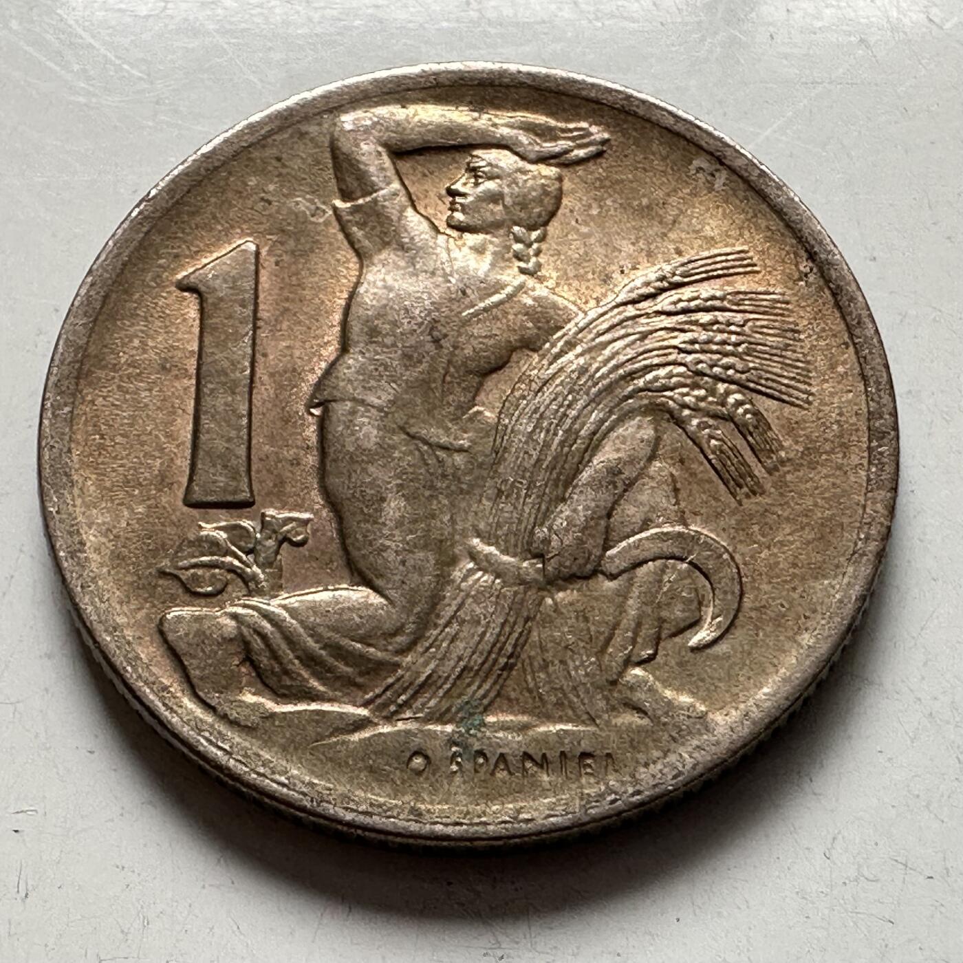 🌹外币初藏🌹🐯2026年第4场  每周二四六晚8️⃣点 接代拍