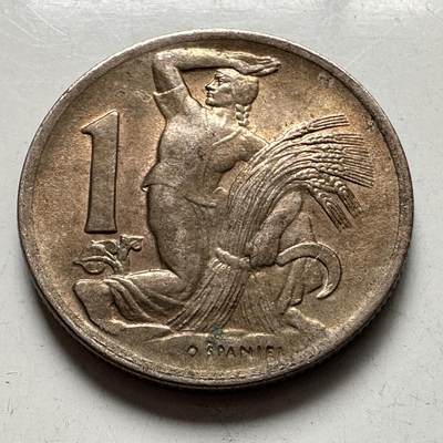 🌹外币初藏🌹🐯2026年第4场  每周二四六晚8️⃣点 接代拍 - 捷克斯洛伐克1946年一克朗 a