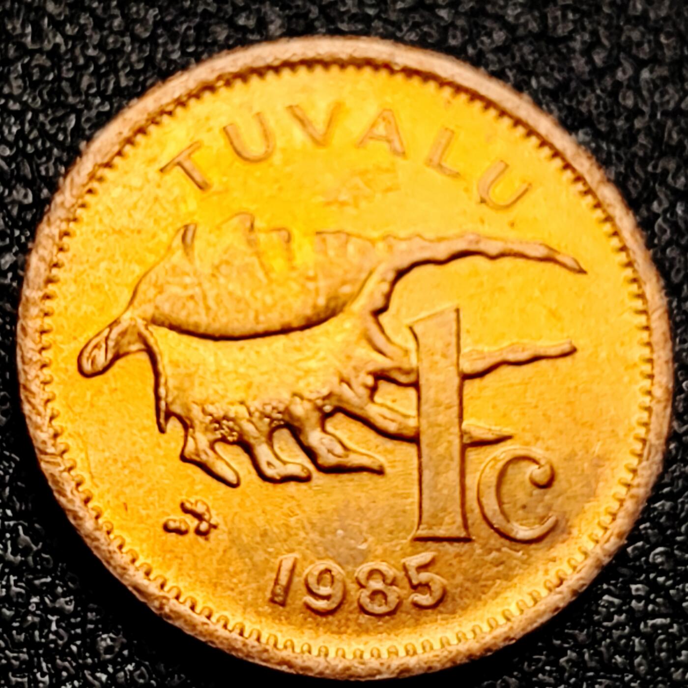 泉币菌-第167场- 精品福利场 。