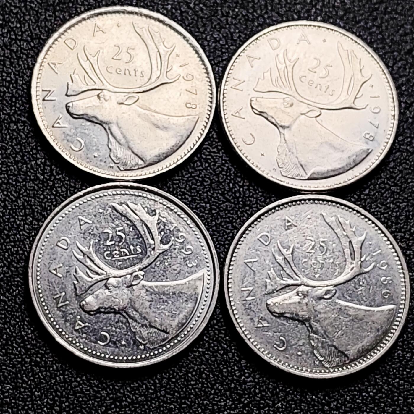 泉币菌-第166场- 精品福利场