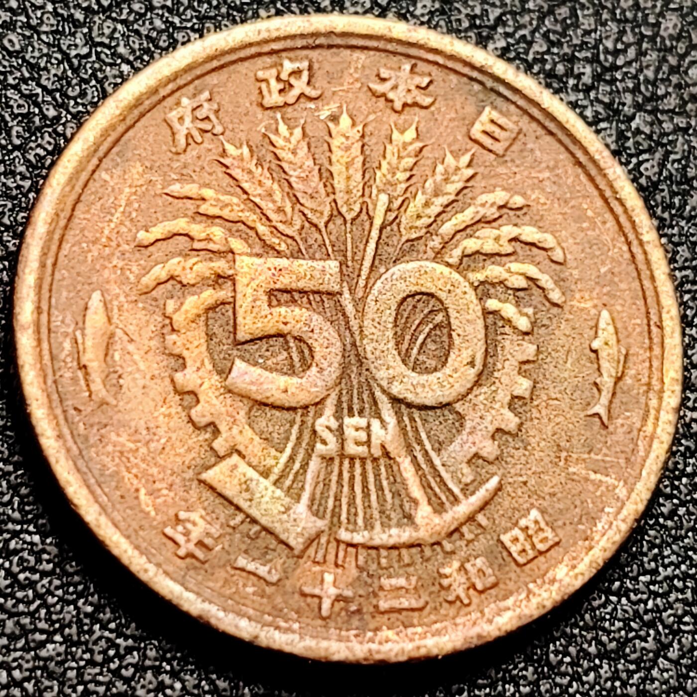 泉币菌-第166场- 精品福利场