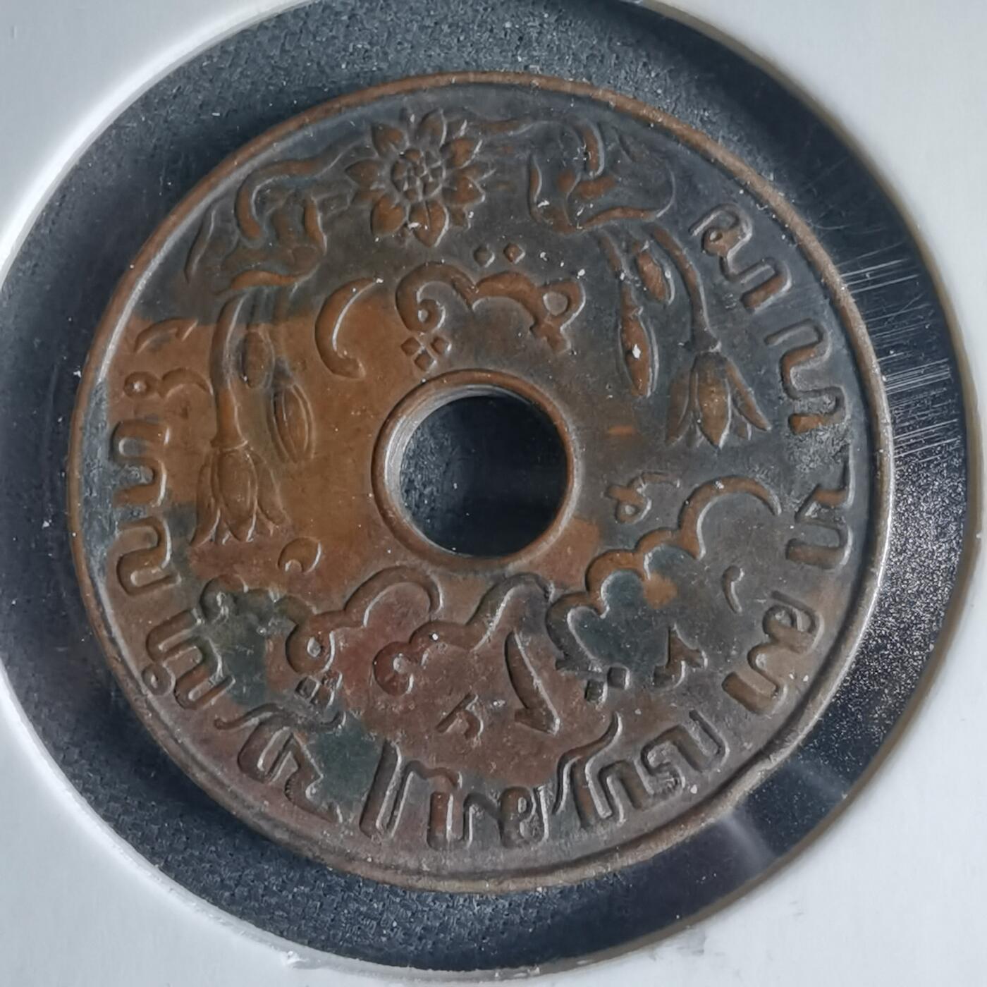 沼泽如烟--第954场