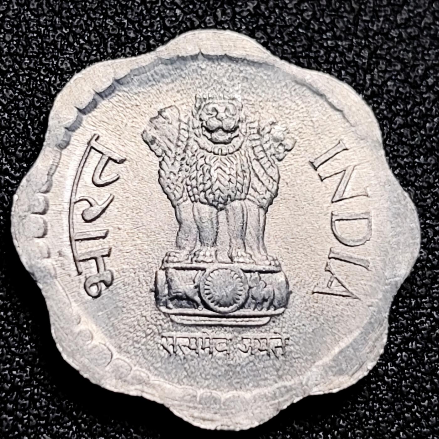 泉币菌-第166场- 新年第九场 精品福利场 。