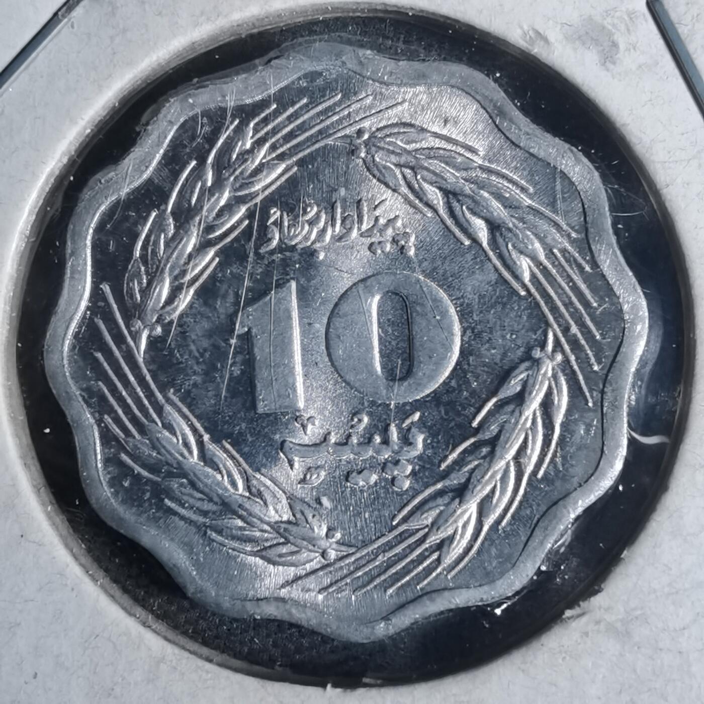 沼泽如烟--第954场