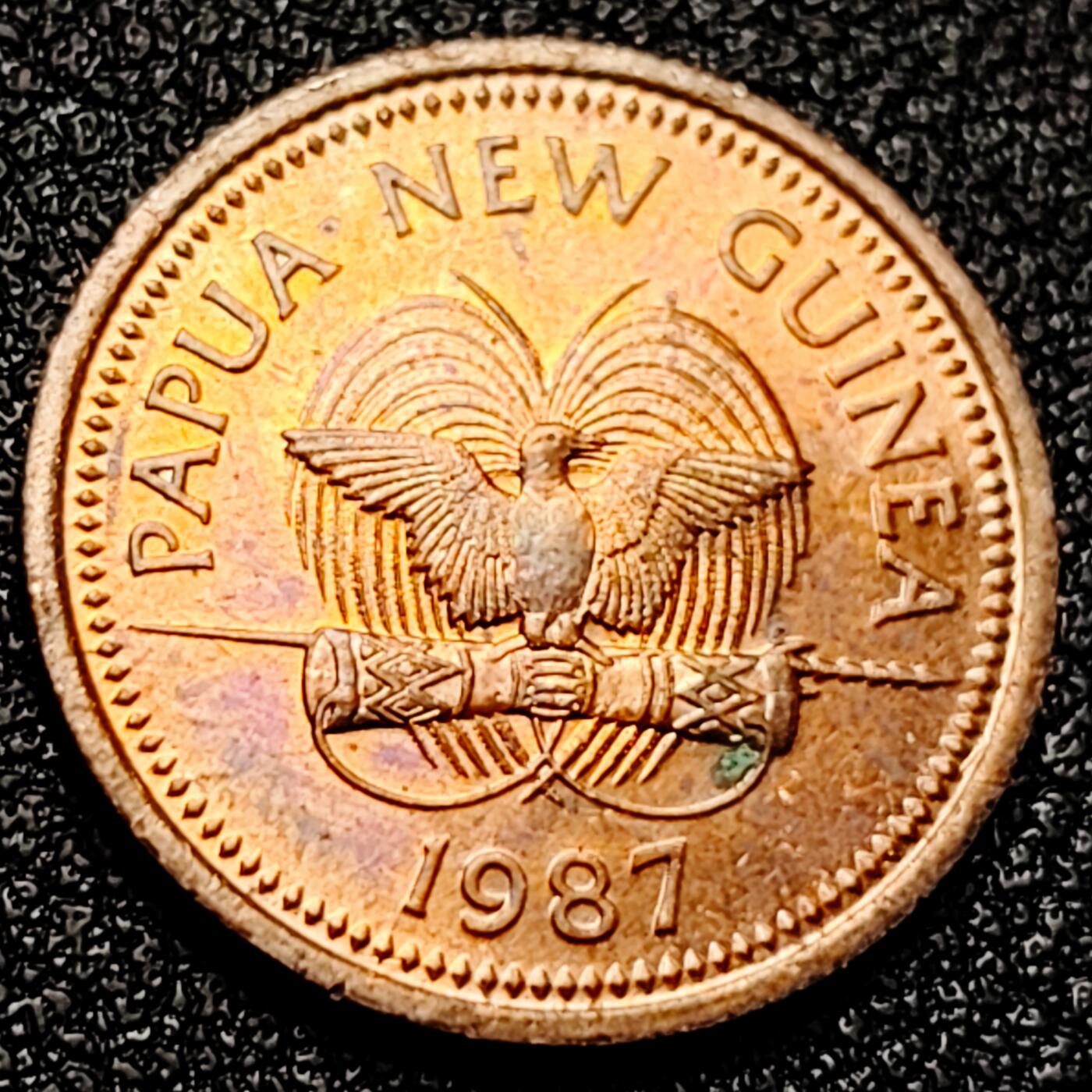 泉币菌-第167场- 精品福利场 。