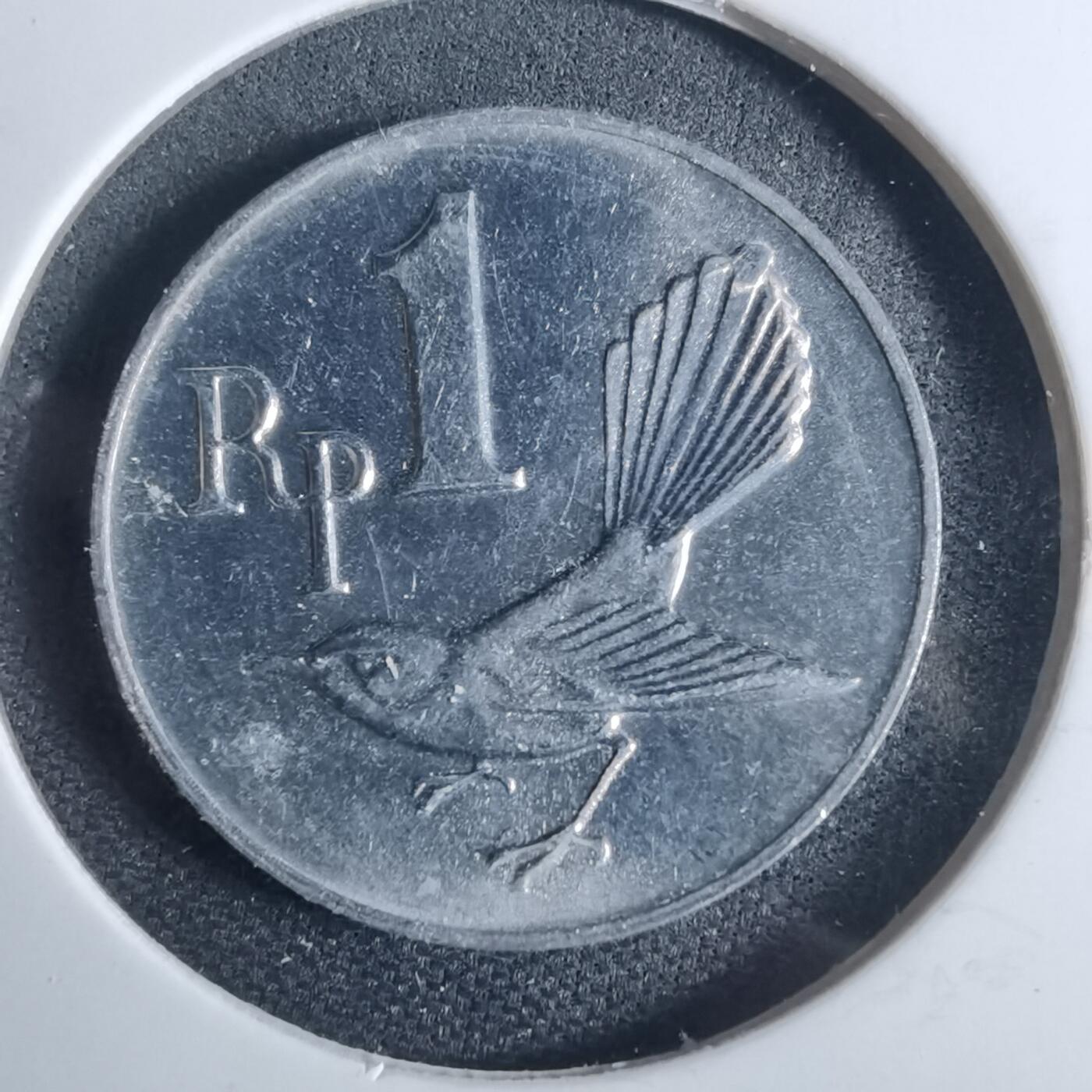 沼泽如烟--第954场