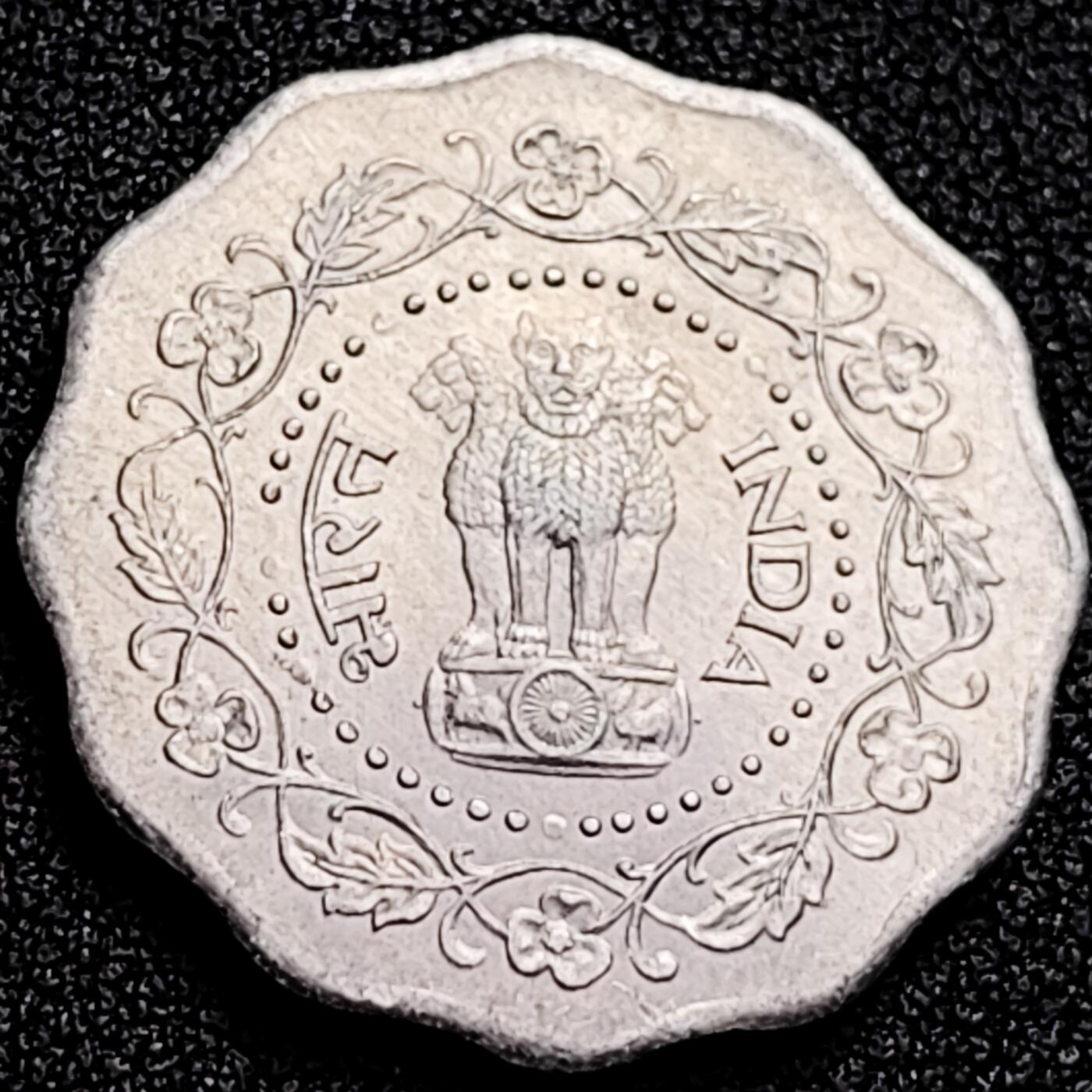 泉币菌-第166场- 新年第九场 精品福利场 。