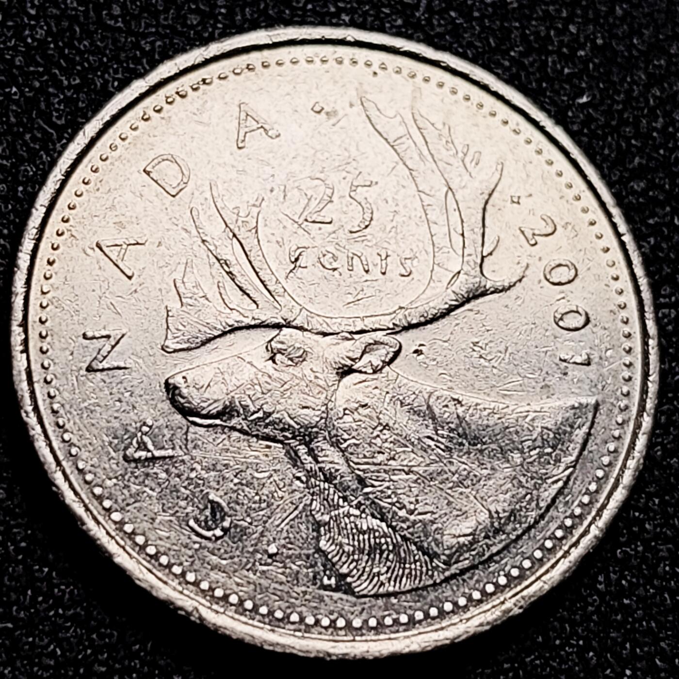 泉币菌-第166场- 新年第九场 精品福利场 。