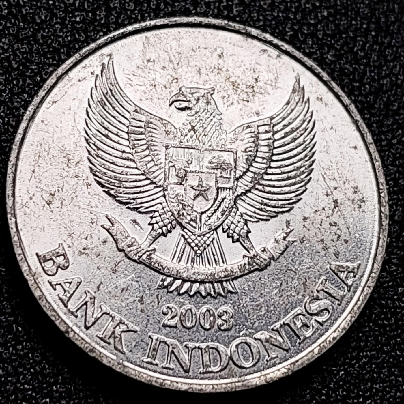 泉币菌-第166场- 新年第九场 精品福利场 。