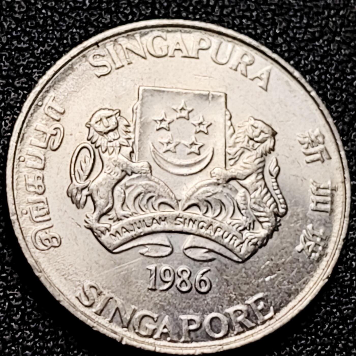 泉币菌-第166场- 新年第九场 精品福利场 。