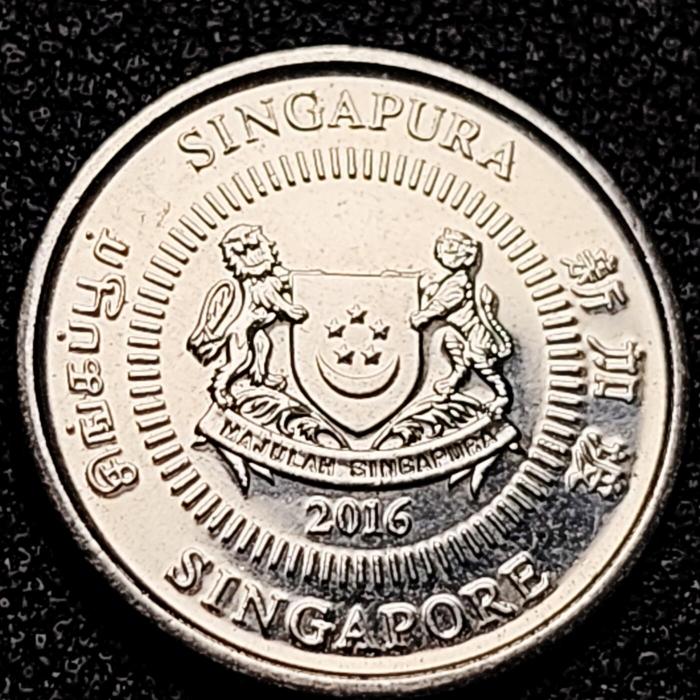 泉币菌-第166场- 新年第九场 精品福利场 。