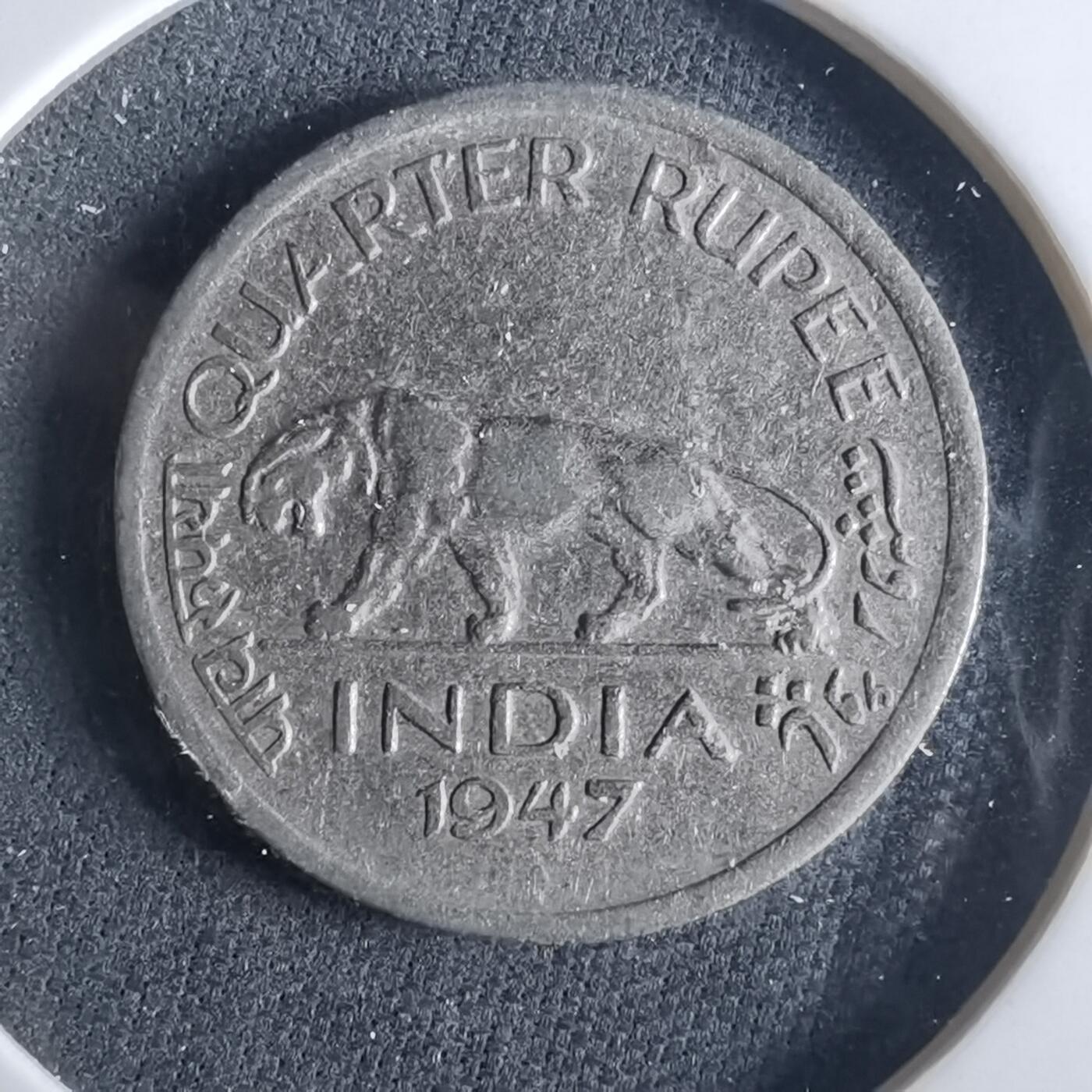 沼泽如烟--第954场