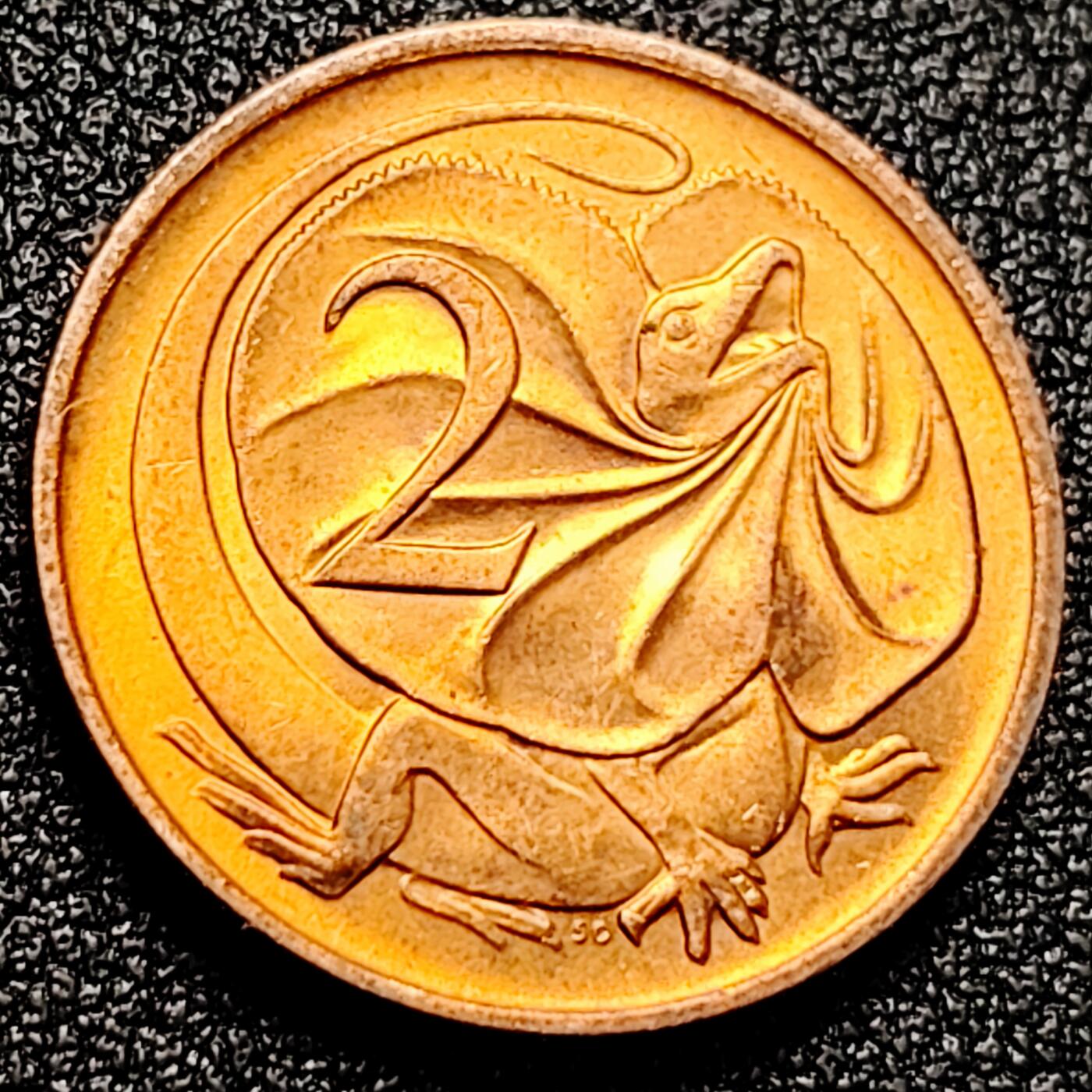 泉币菌-第167场- 精品福利场 。