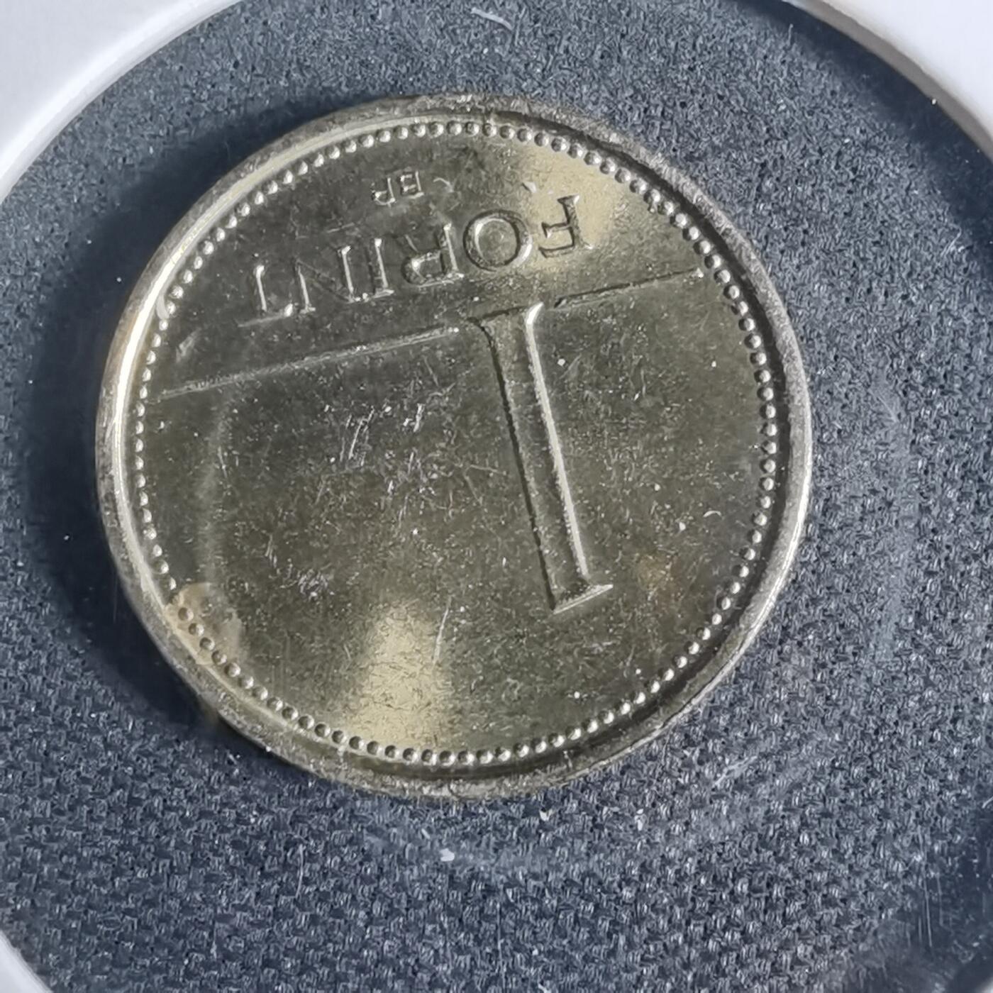 沼泽如烟--第954场