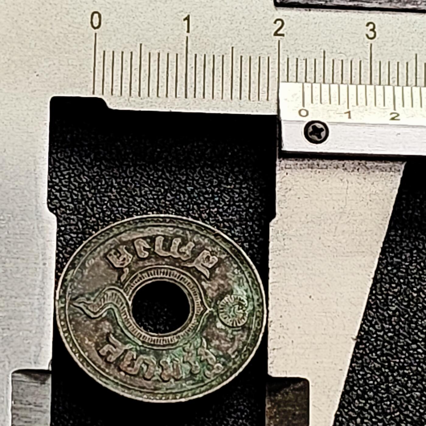 泉币菌-第166场- 新年第九场 精品福利场 。