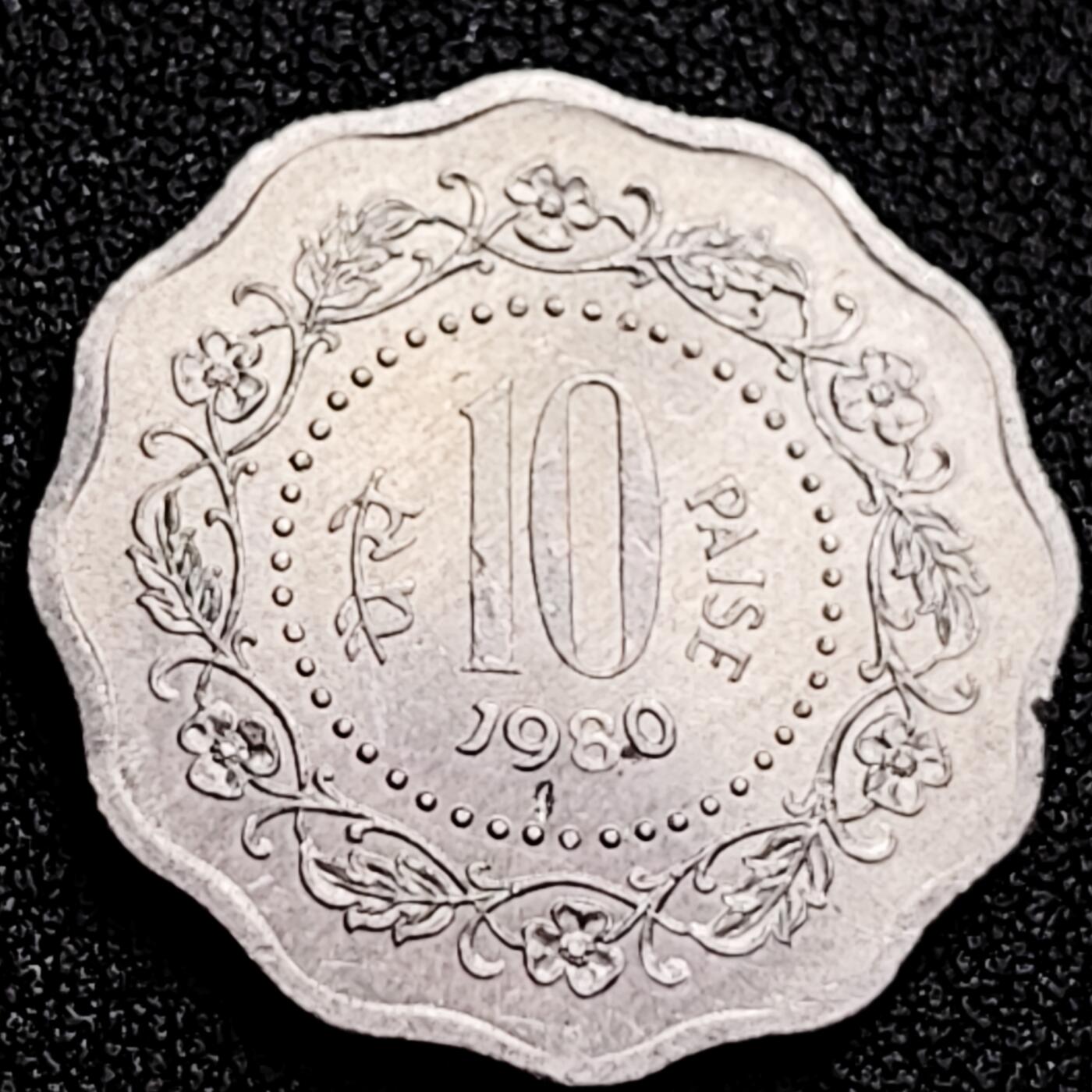 泉币菌-第166场- 新年第九场 精品福利场 。