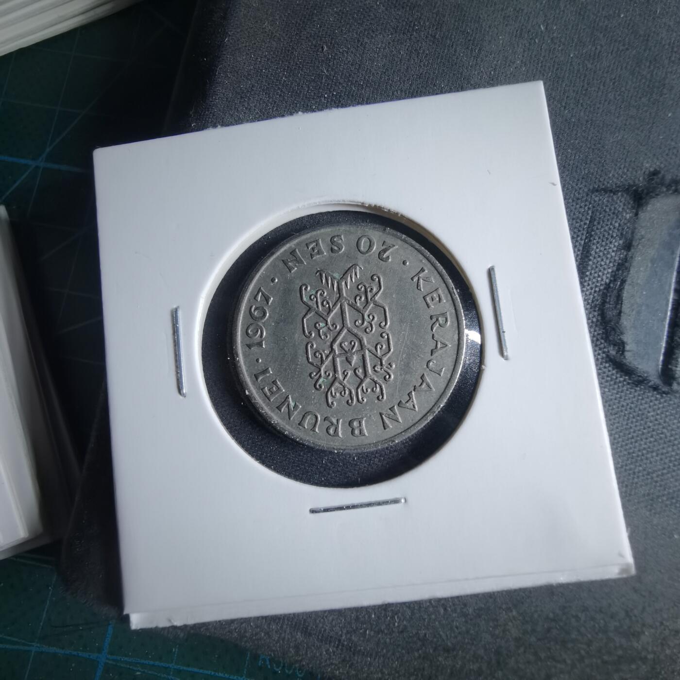 沼泽如烟--第954场