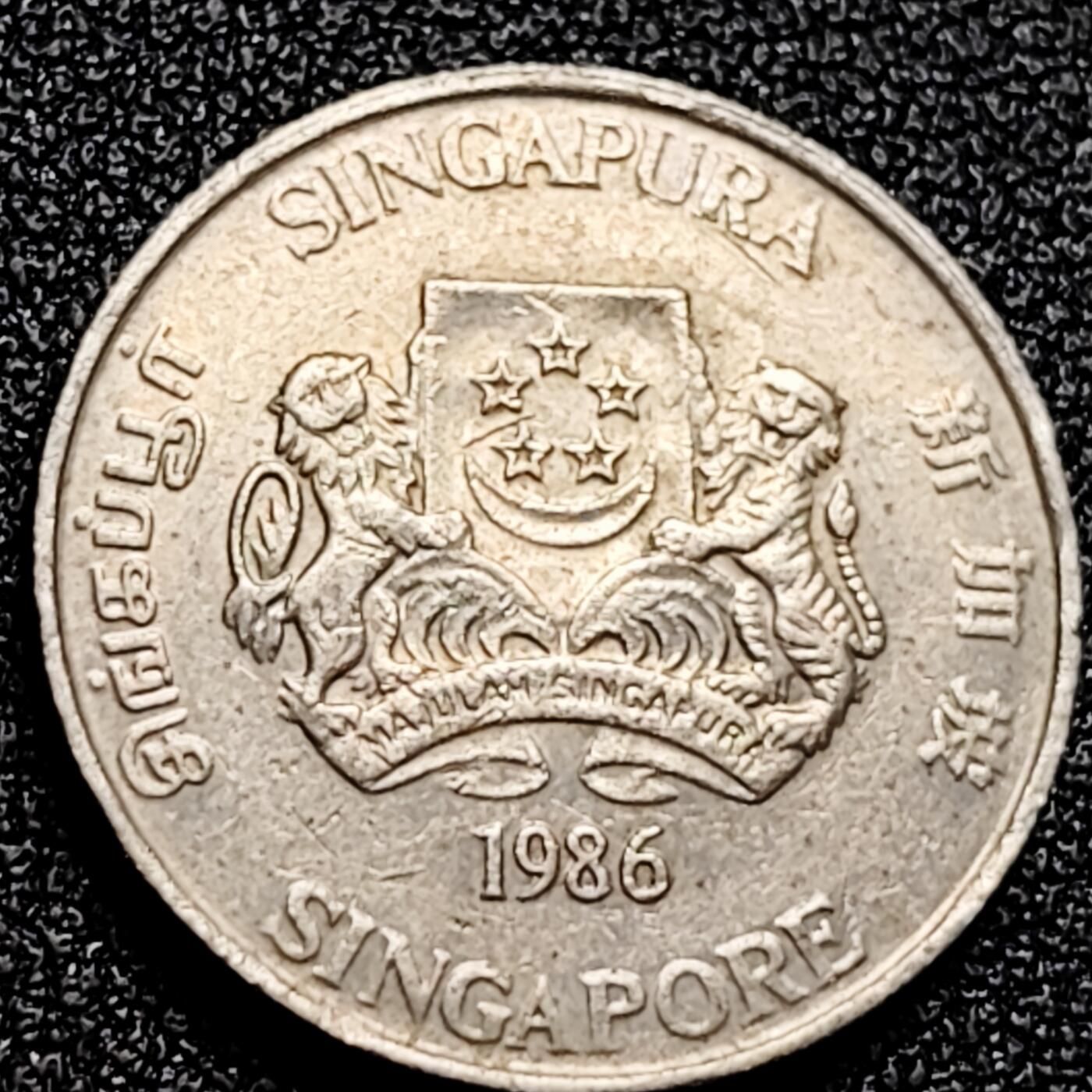 泉币菌-第166场- 新年第九场 精品福利场 。