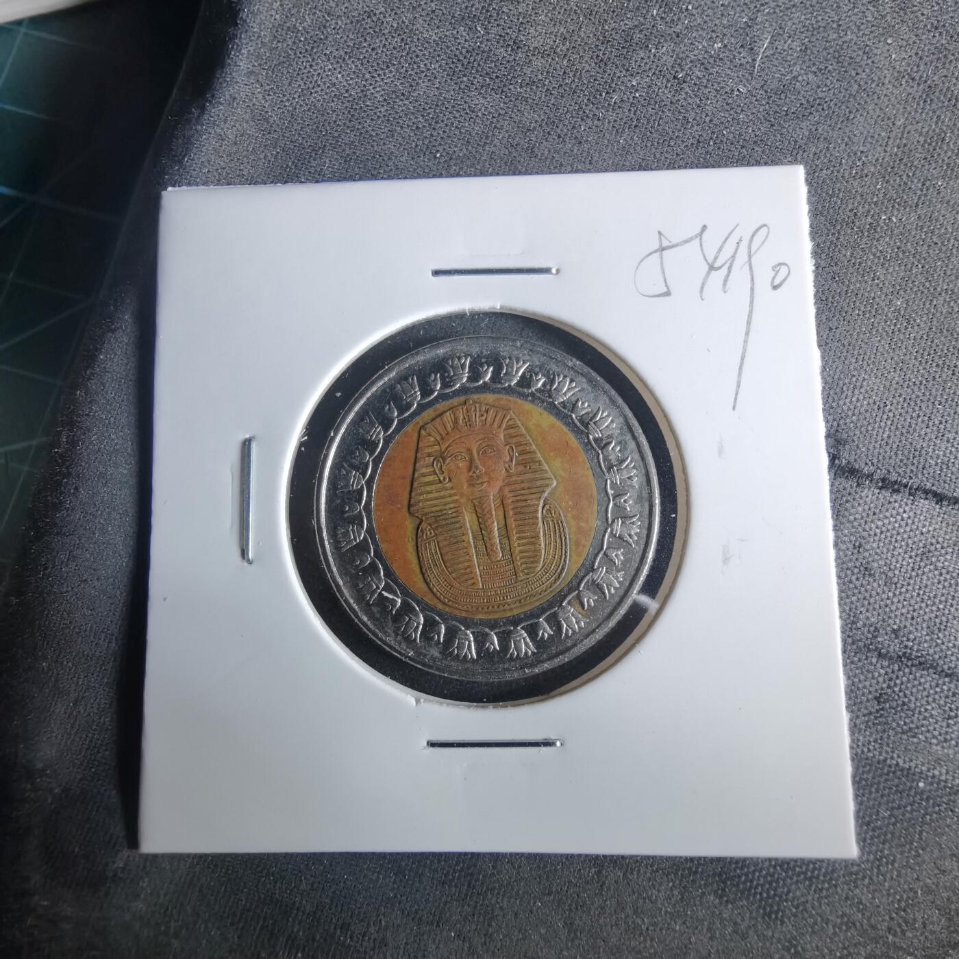 沼泽如烟--第954场 埃及