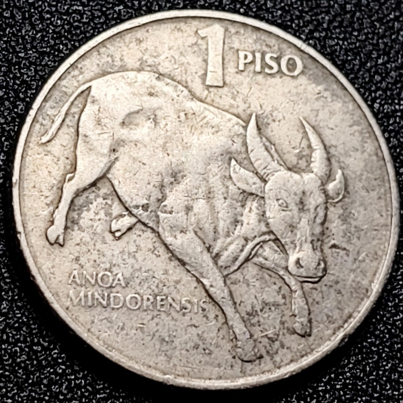 泉币菌-第167场- 精品福利场 。