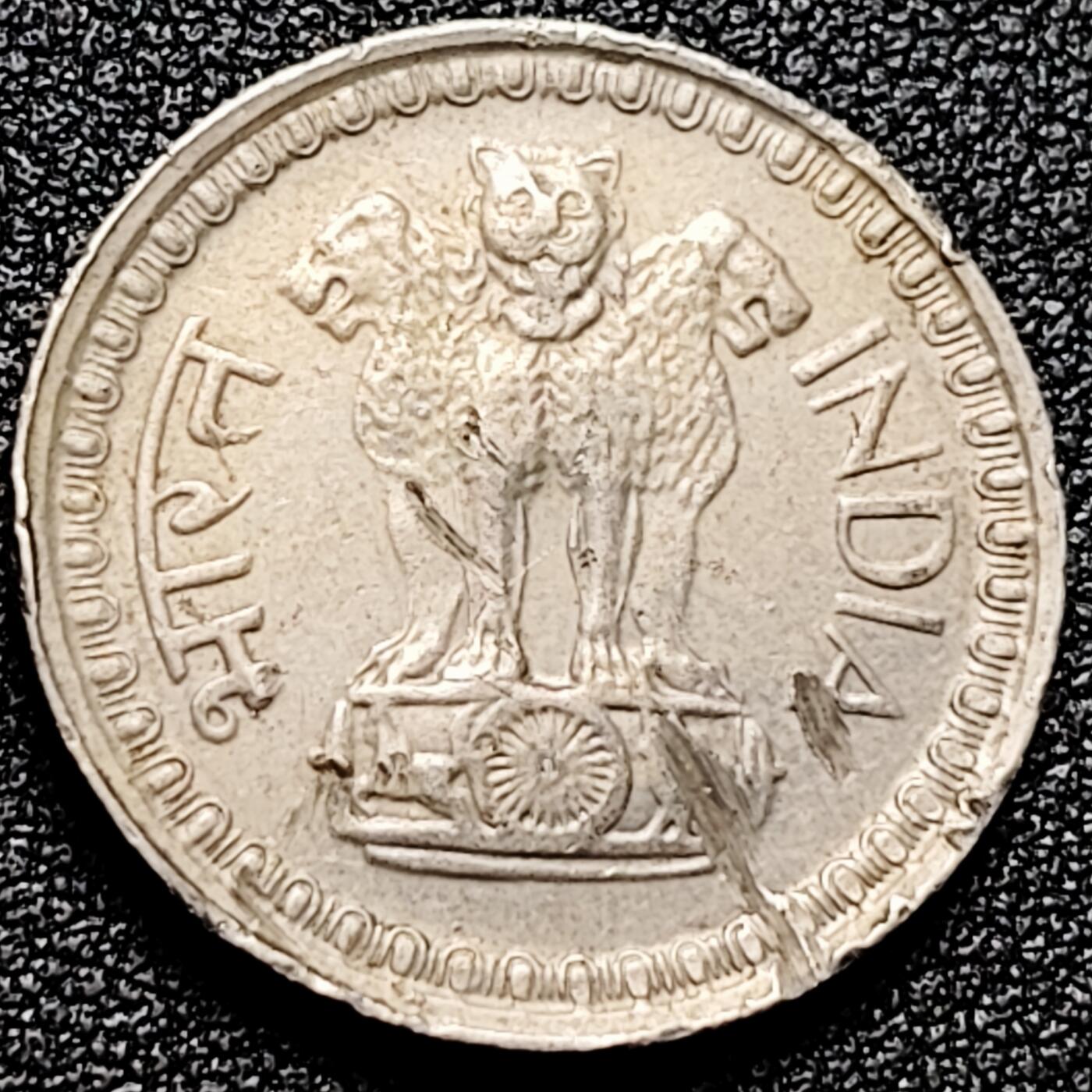 泉币菌-第166场- 新年第九场 精品福利场 。