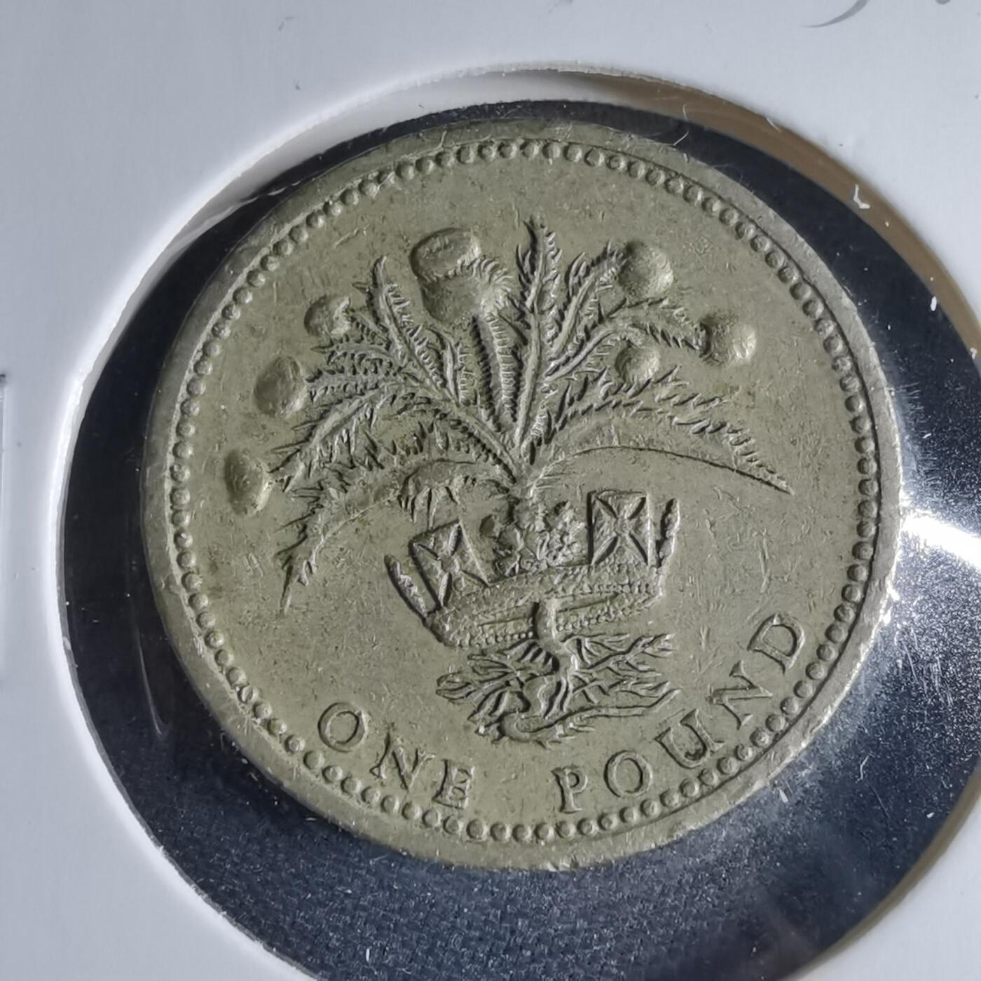 沼泽如烟--第954场 英国1984年一磅