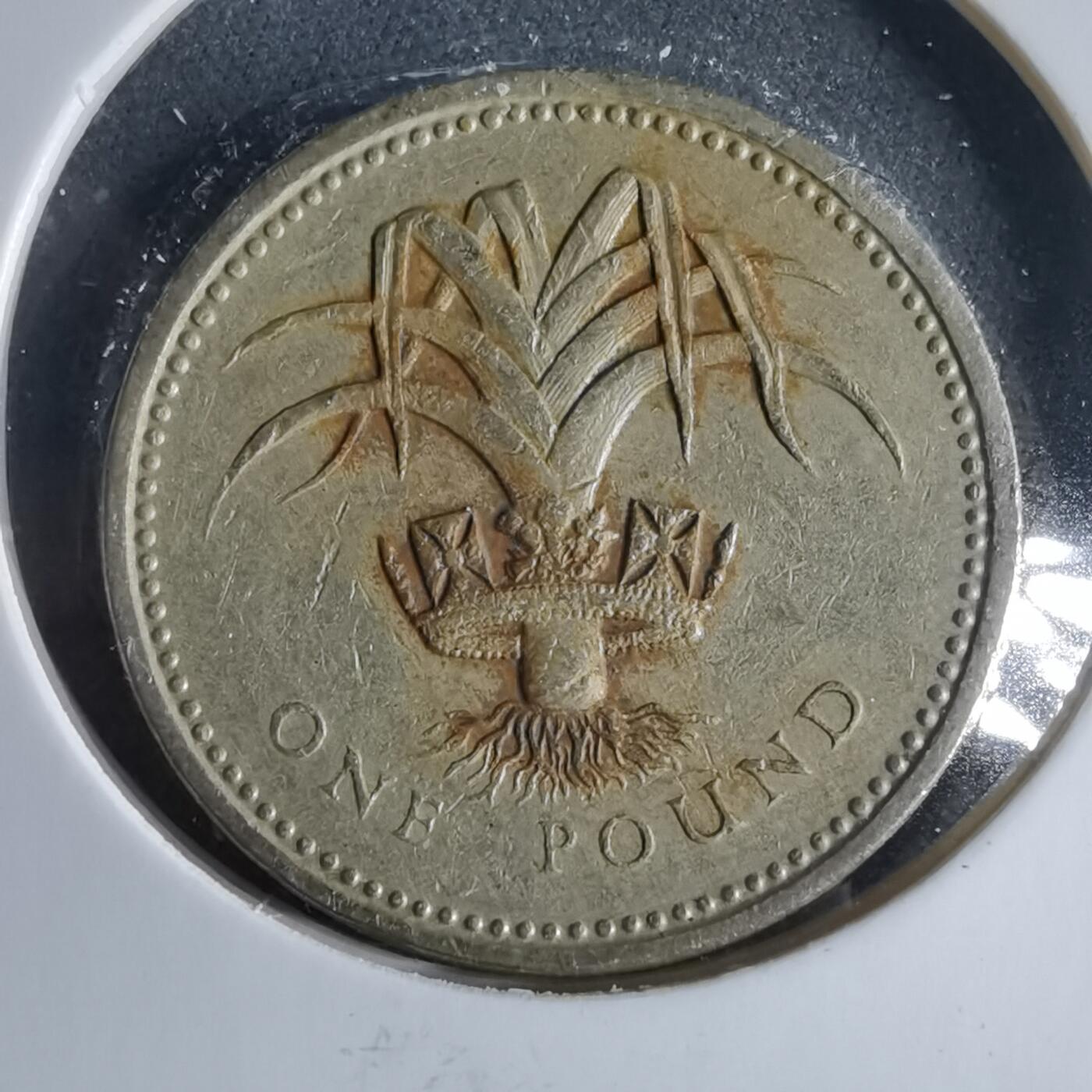 沼泽如烟--第954场 英国1985年一磅