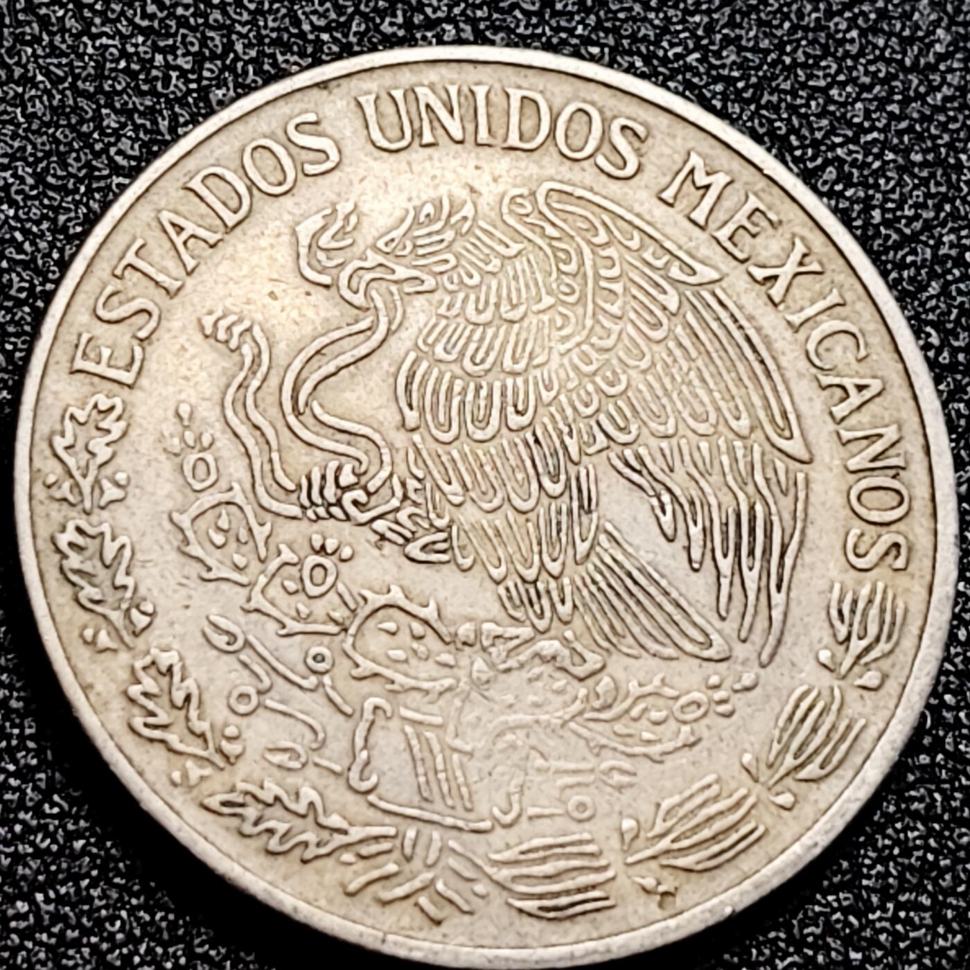 泉币菌-第167场- 精品福利场 。