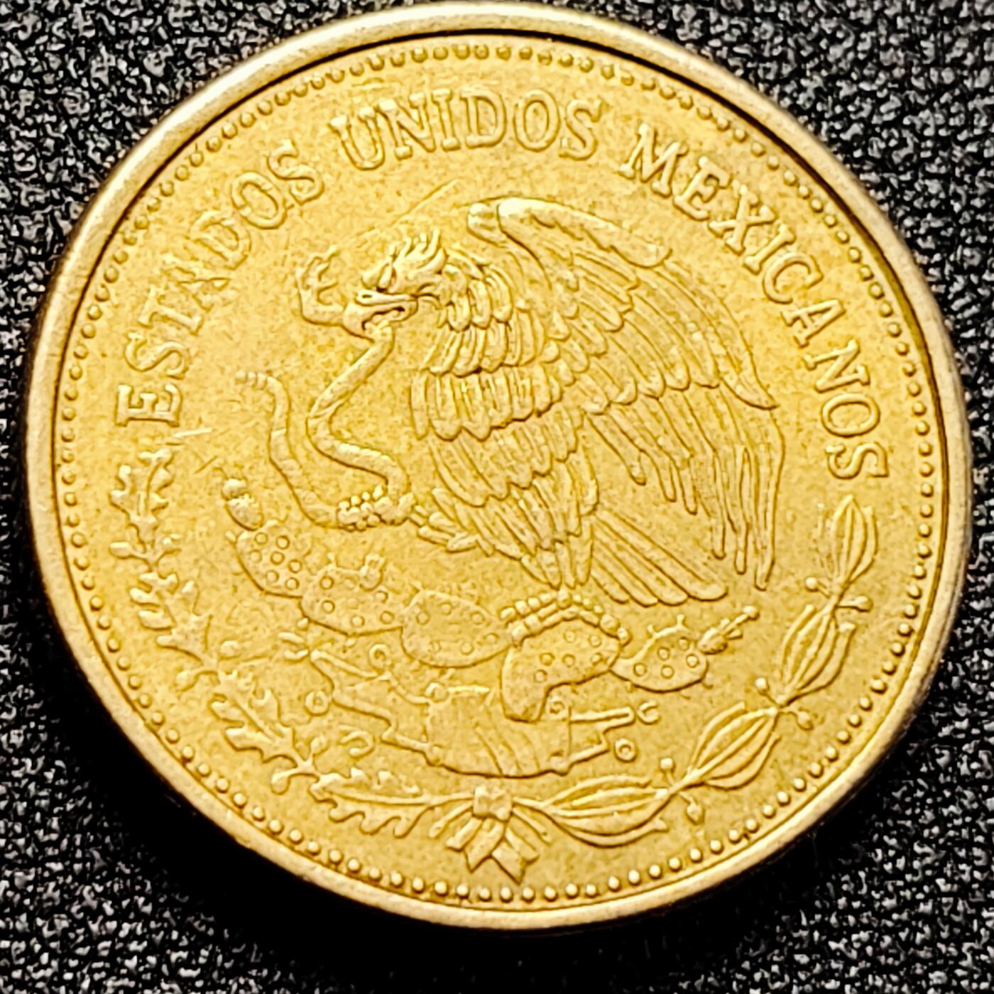 泉币菌-第167场- 精品福利场 。